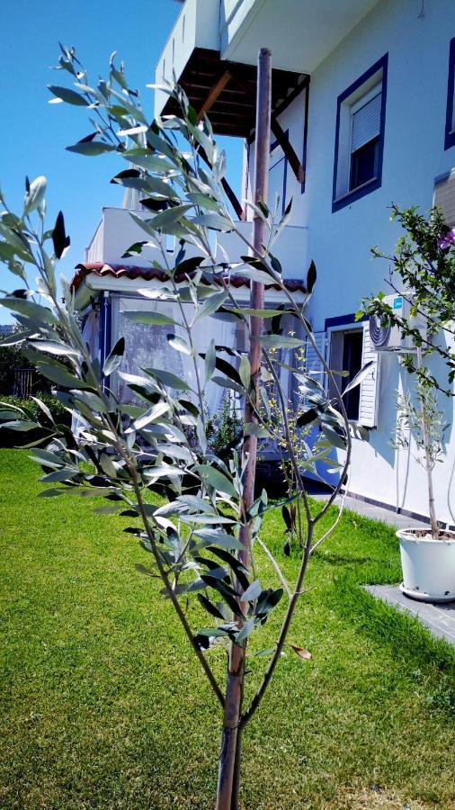 Zephyros Family Apartments 1 Ormos Panagias Extérieur photo